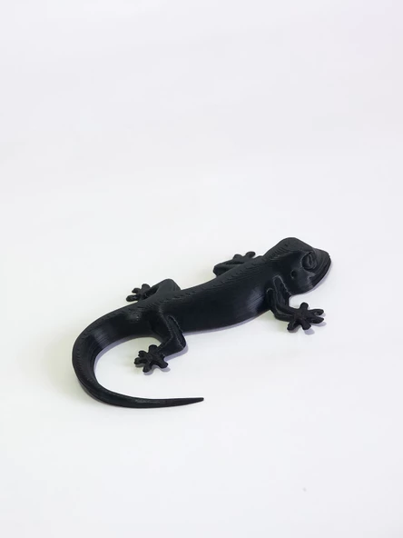 3D Kertenkele Gecko Figürlü Model Oyuncak - Siyah - Resim 2
