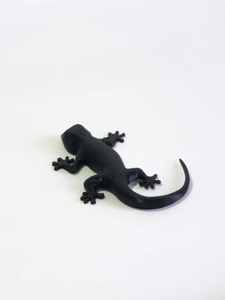 3D Kertenkele Gecko Figürlü Model Oyuncak - Siyah - Resim 5