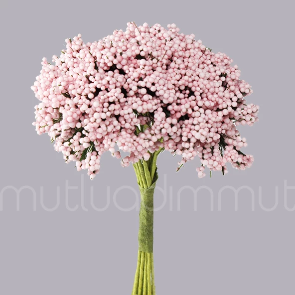 10 Demet (120 Adet) Dökülen Pıtırcık Cipso Çiçek - 7