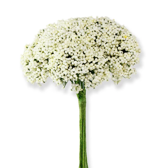 10 Demet (120 Adet) Dökülen Pıtırcık Cipso Çiçek - 5