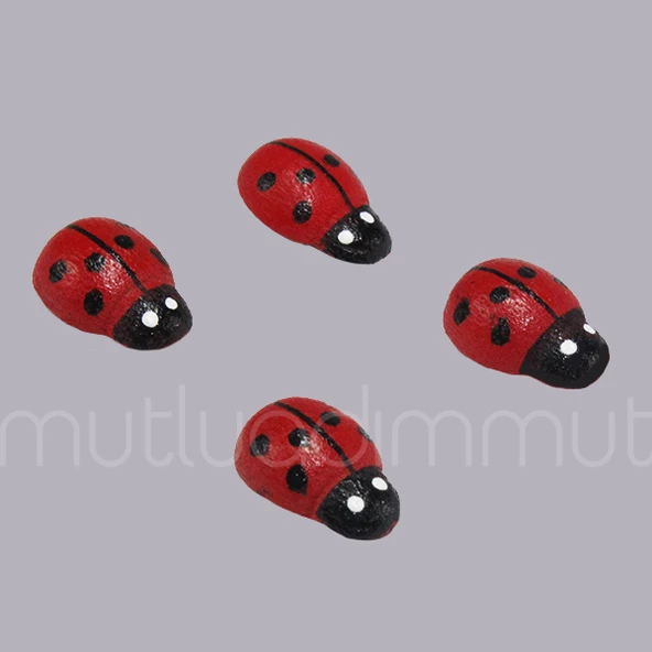 Uğur Böceği Küçük 24 Adet - 2