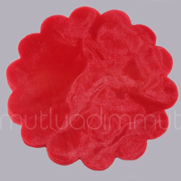 100 Adet Düz Organze Tül 22cm - 3