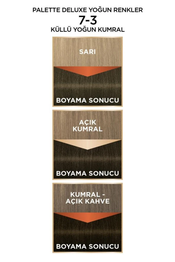 Palette Deluxe Saç Boyası 7-3 Küllü Yoğun Kumral - 3