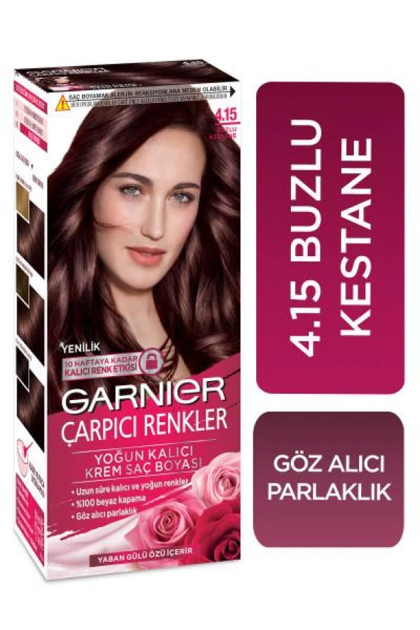 Garnier Çarpıcı Renkler Krem Saç Boyası - 4.15 Buzlu Kestane - 2