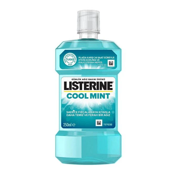 Listerine 250 ml Nane Coolmint Gargara