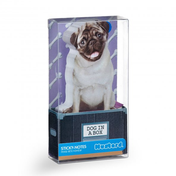Mustard Dog in a Box - 3