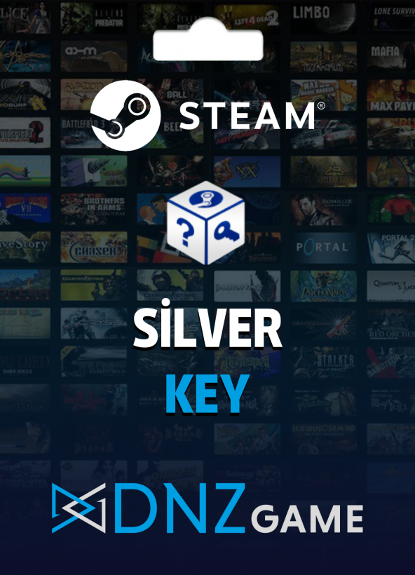 Steam Random Key (SILVER)