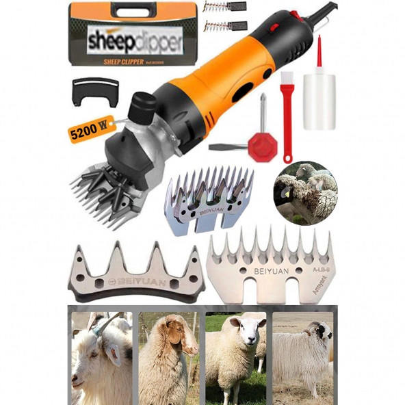Sheep Clipper Alman Teknoloji Lansman Ürün Beıyuan Bıçak Çift Soğutma Bakır Sargı Kırkım Makinası