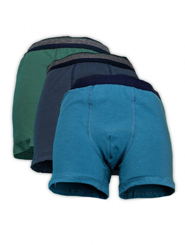 Bsm Erkek 3 lü Paket Likralı Pamuk Boxer 13203 - 4