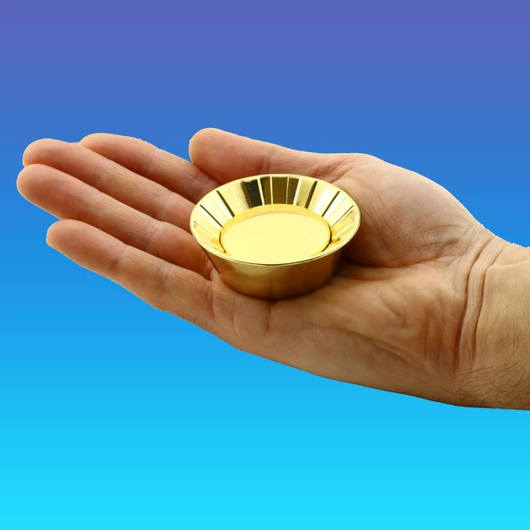 Alita Düğme Mobilya Mutfak Dolap Dolabı Çekmece Kulpu Kulbu Plastik Gold Altın Tek Vidalı Kulpları - Resim 7