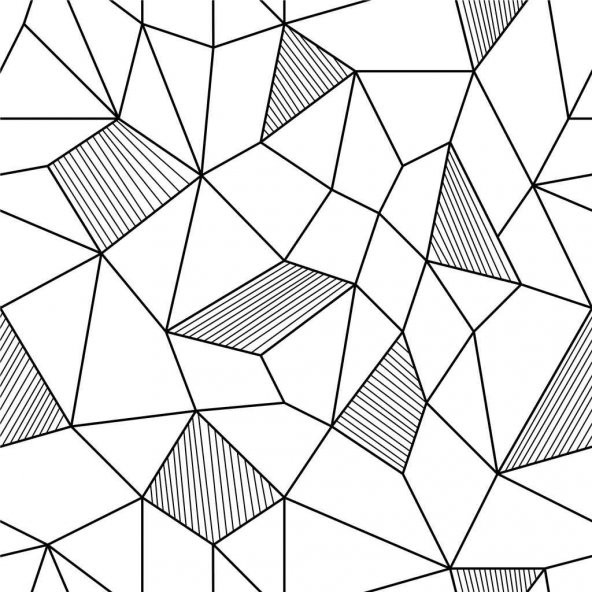 Maki 100 Pamuklu Kany Çift Kişilik Nevresim Seti ve Yastık Kılıf - Resim 3