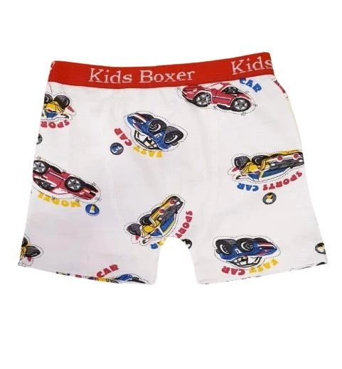 Desenli Erkek Çocuk Boxer - Sdf ST05093