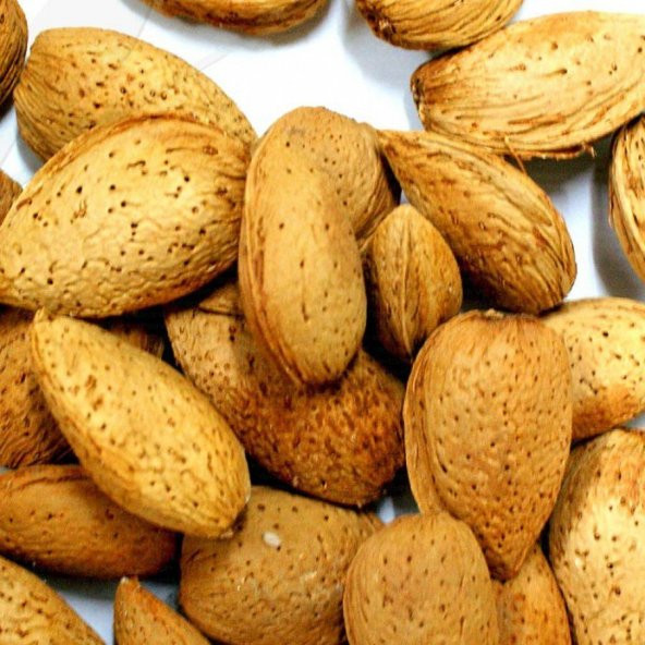 Ferragnes Cinsi Diş Bademi(İnce Kabuk) 1 Kg ürün görseli 1