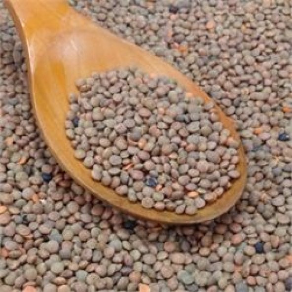 ANTEP KAHVERENGİ MERCİMEK 1 KG