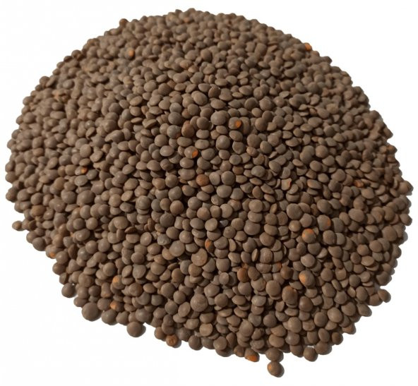 ANTEP KAHVERENGİ MERCİMEK  5 KG