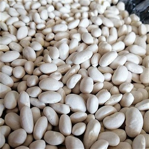 KURU FASULYE DERMASON 1 KG