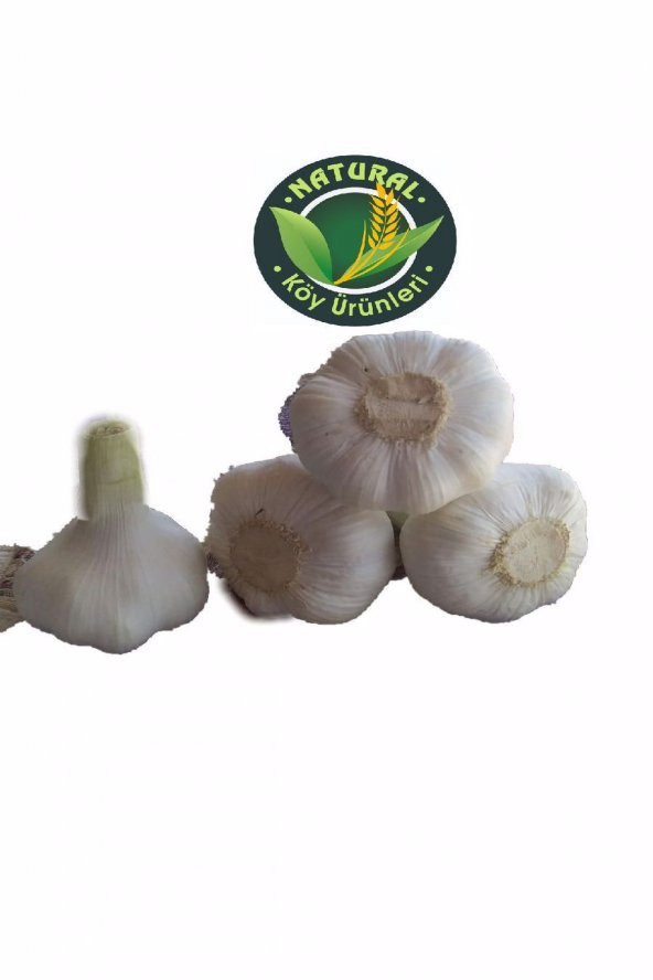 naturalköyürünleri MARAŞ SARIMSAK İRİ BOY 500 GR