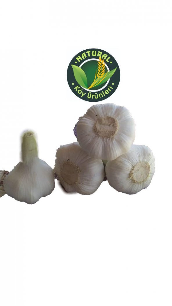 MARAŞ SARIMSAk İRİ BOY 750 GR - 2