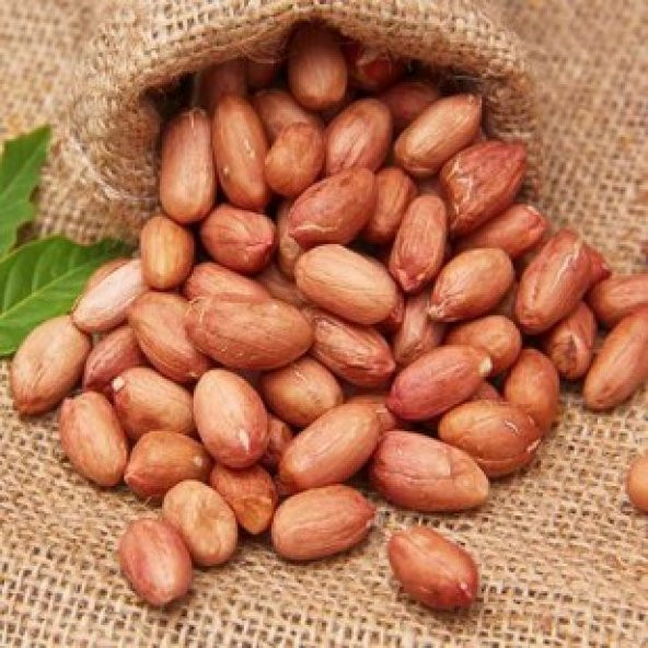 ÇİĞ YER FISTIK DUBLE BOY 1 KG