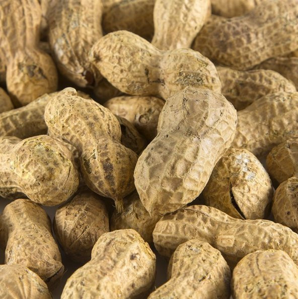 KABUKLU YER FISTIĞI TUZLU 1 KG