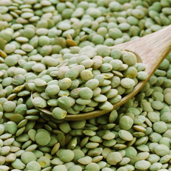 DOĞAL YEŞİL MERCİMEK 5 KG