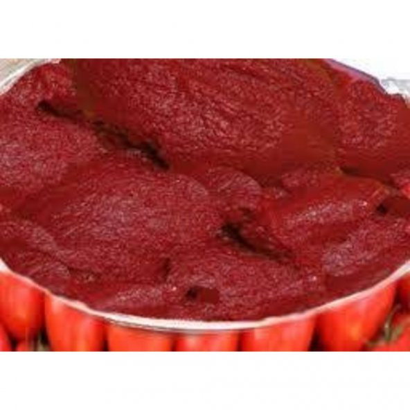 Ev Yapımı Güneş Kurutma Domates Salçası 1 KG ürün görseli 1