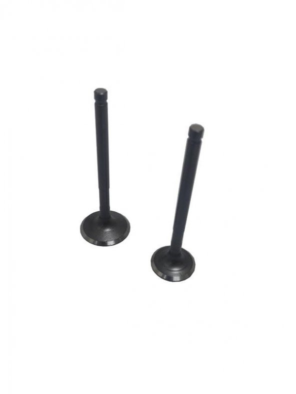 SUBAP TAKIMI ACTIVA teneke - ARORA SPECIAL-ALFA [VTC] - Resim 2