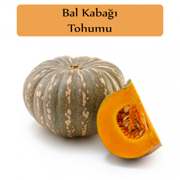 Bal Kabağı Tohumu 1 Paket Kabak Tohumu