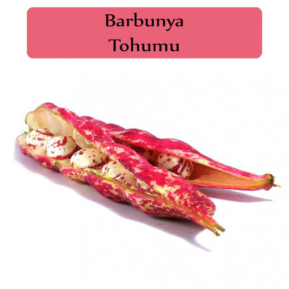 Barbunya Tohumu 1 Paket Barbunya Fasulyesi Tohumu