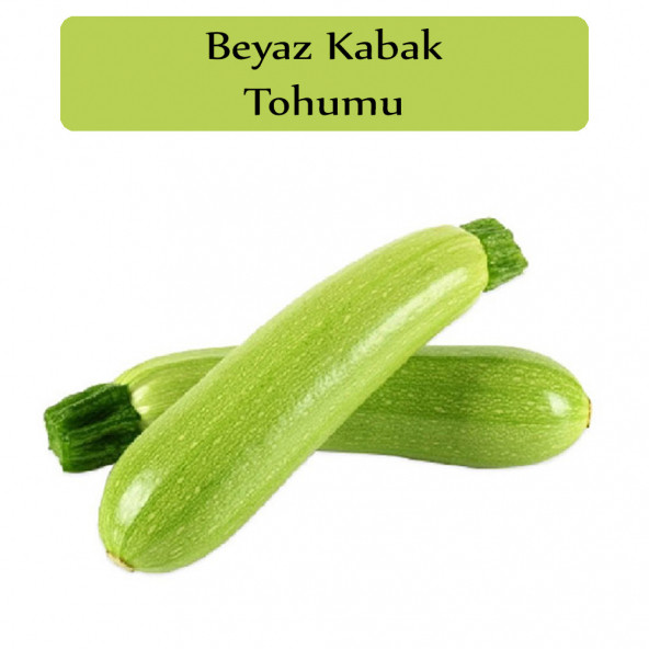 Beyaz Kabak Tohumu 1 Paket Sakız Kabak Tohumu