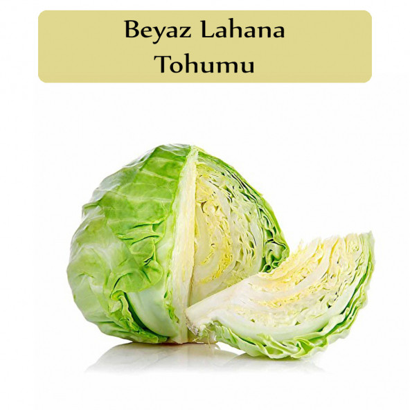 Beyaz Lahana Tohumu 1 Paket Lahana Tohumu Yalova 1 ürün görseli