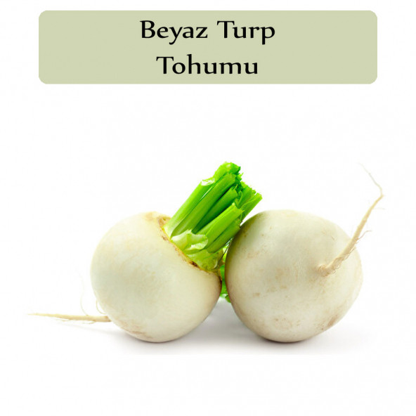 Beyaz Turp Tohumu 1 Paket Turp Tohumu