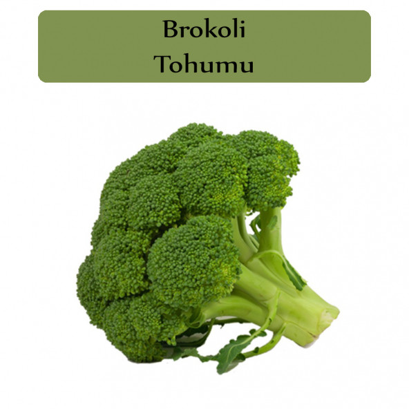 Brokoli Tohumu 1 Paket