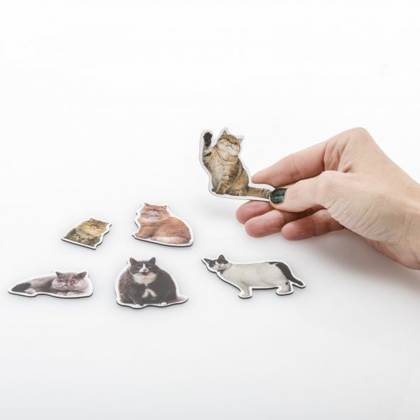 Mustard Cat Magnet - 5