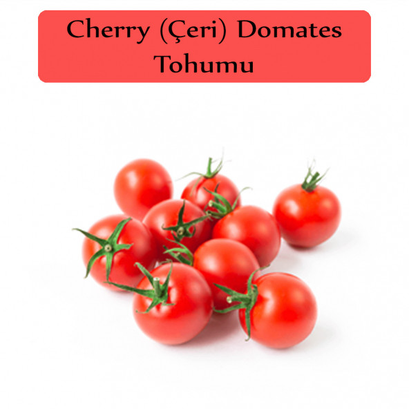 Çeri Domates Tohumu 1 Paket  Cherry Domates Salkım Domates Tohumu