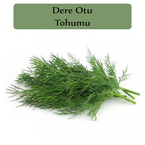 Dere Otu Tohumu 1 Paket Gönen Dere Otu Tohumu ürün görseli