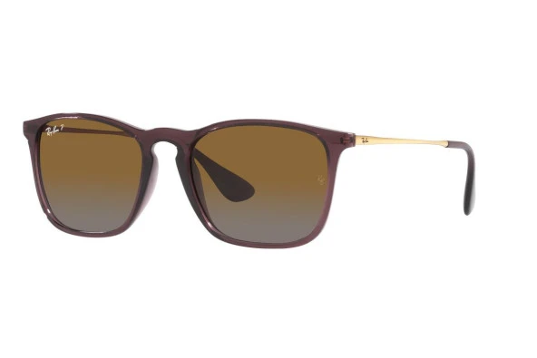 Ray-Ban RB4187 6593T5 54 Polarize Unisex Güneş Gözlüğü