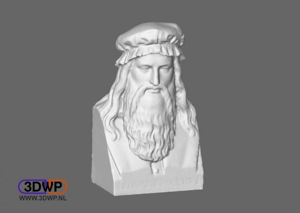 Leonardo Da Vinci Büstü Plastik Aparat - 1