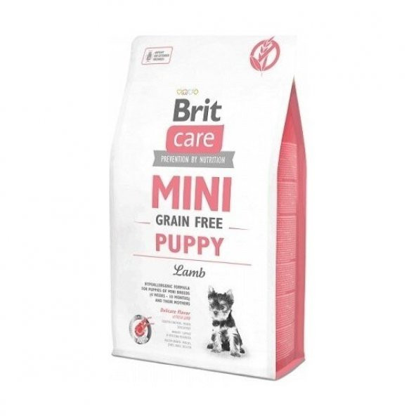 Brit Care Mini Tahılsız Kuzu Etli Küçük Irk Yavru Köpek Maması 2 KG