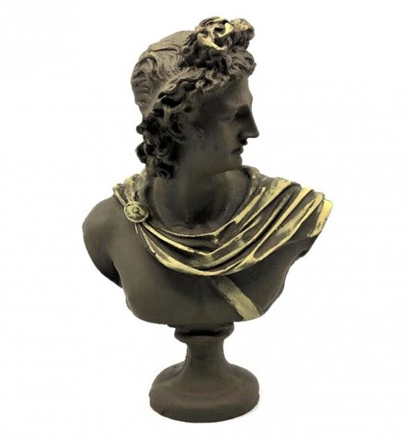 APOLLON BÜST HEYKEL BİBLO HK102-30 ürün görseli