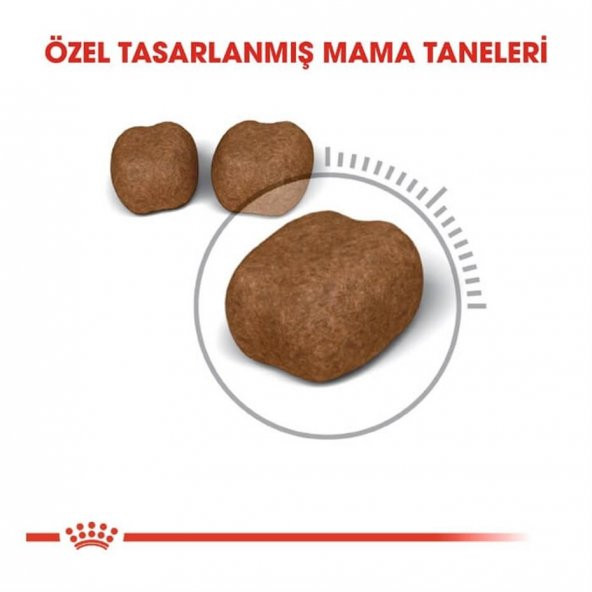 Royal Canin Oral Care Ağız ve Diş Sağlığı İçin Yetişkin Kedi Maması 1,5 kg - 2