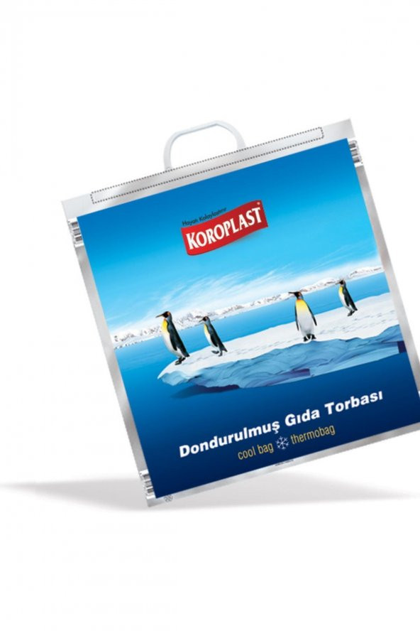Dondurulmuş Gıda Torbası