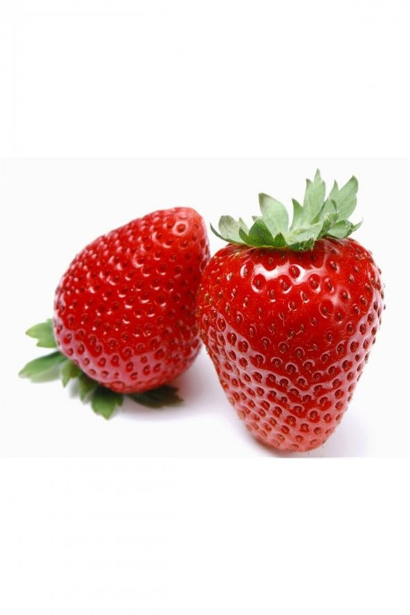 20 Adet Yeni Söküm Rubgygem Çilek Fidanı Açık Kök ürün görseli 1