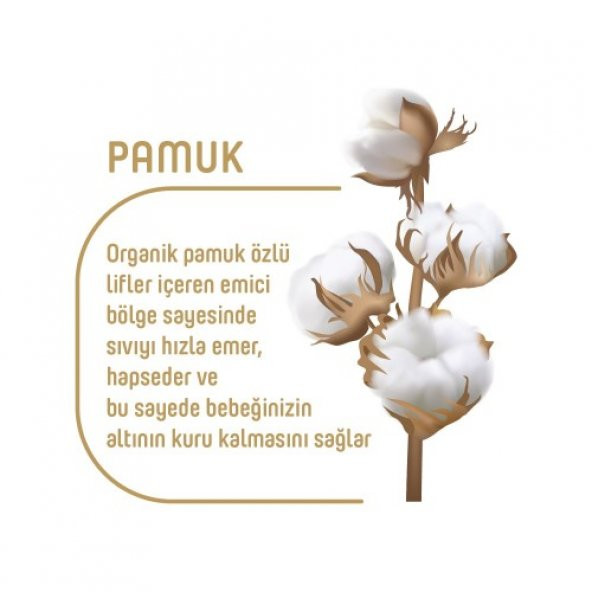 Pure Baby Organik Pamuklu Bebek Bezi 1 Beden Yenidogan 64*2 128 Adet - 3