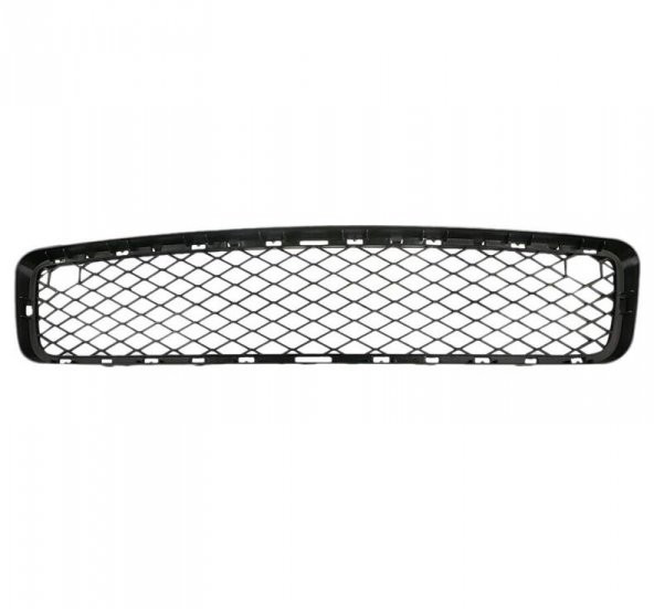 Tampon Izgarası E70 Ön Alt Orta  51117163956