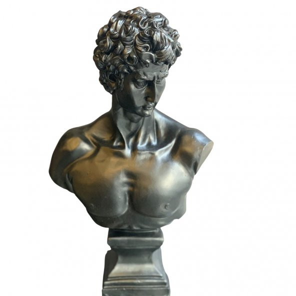 DAVUT HEYKEL BİBLO HK103-49 ürün görseli