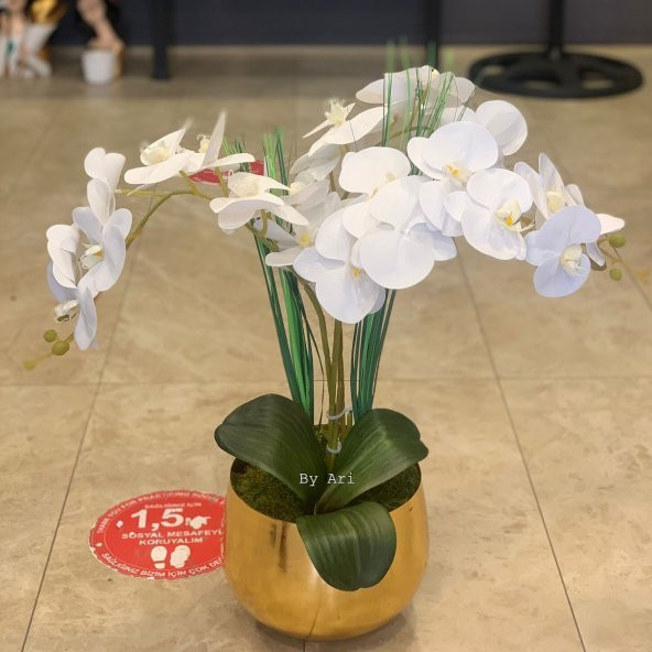 ARANJMANLI SAKSI ürün görseli