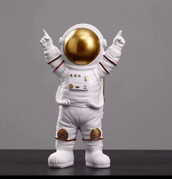ASTRONOT DEKOR BİBLO