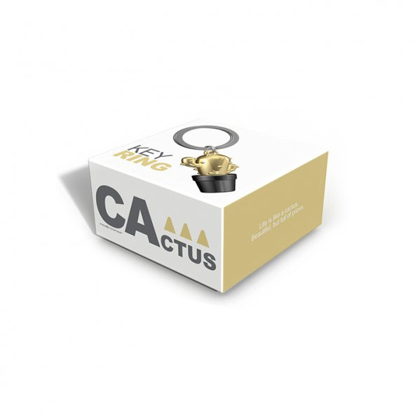 Kaktüs Anahtarlık - Resim 2