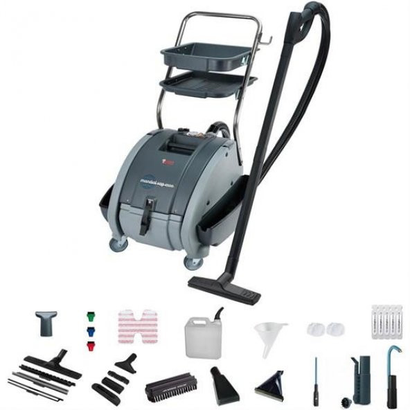 Polti Mondial Vap 4500 Profesyonel Buharlı Temizleyici - 2